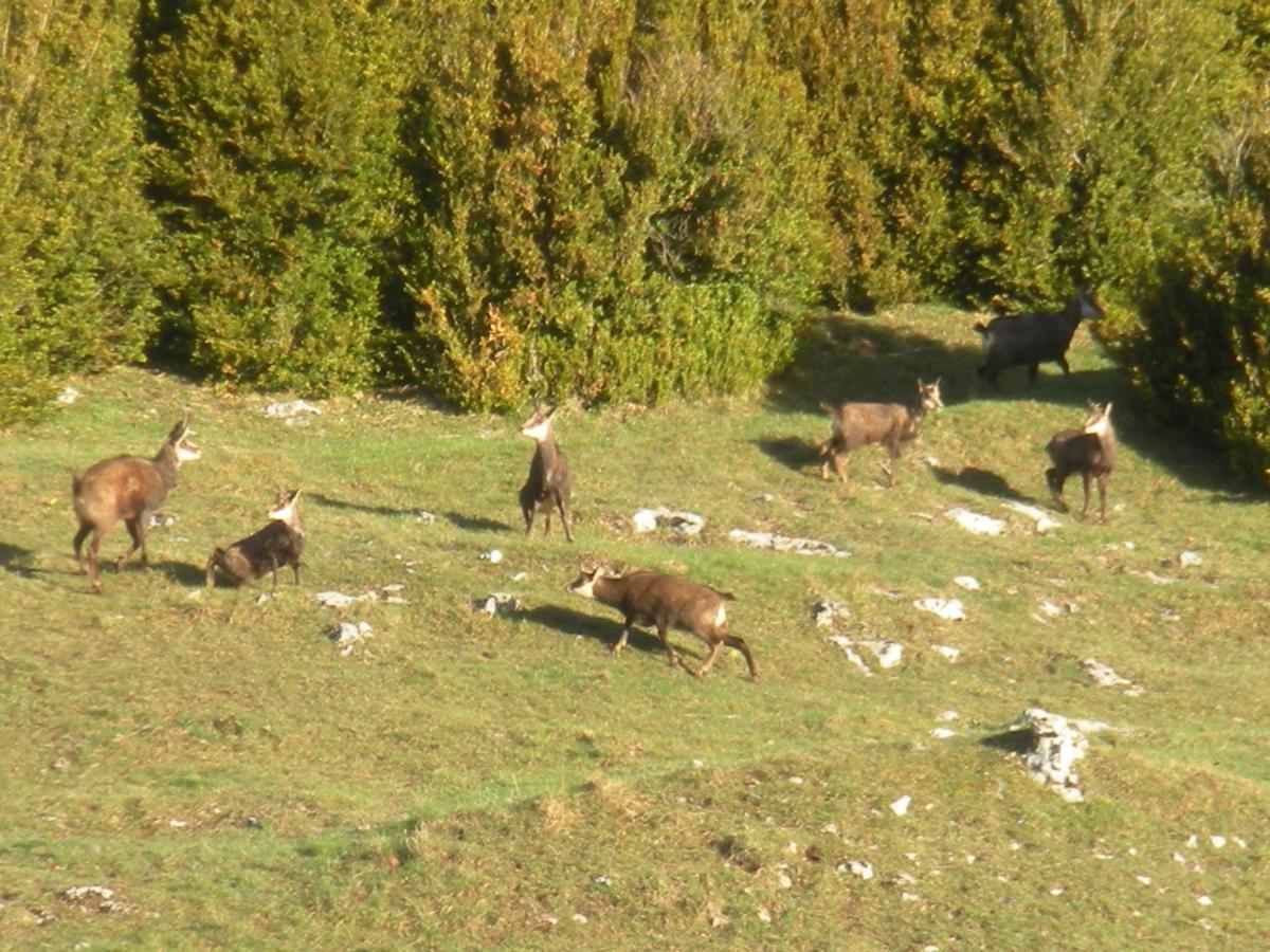 Hotel Du Col De La Machine Saint-Jean-en-Royans Eksteriør bilde