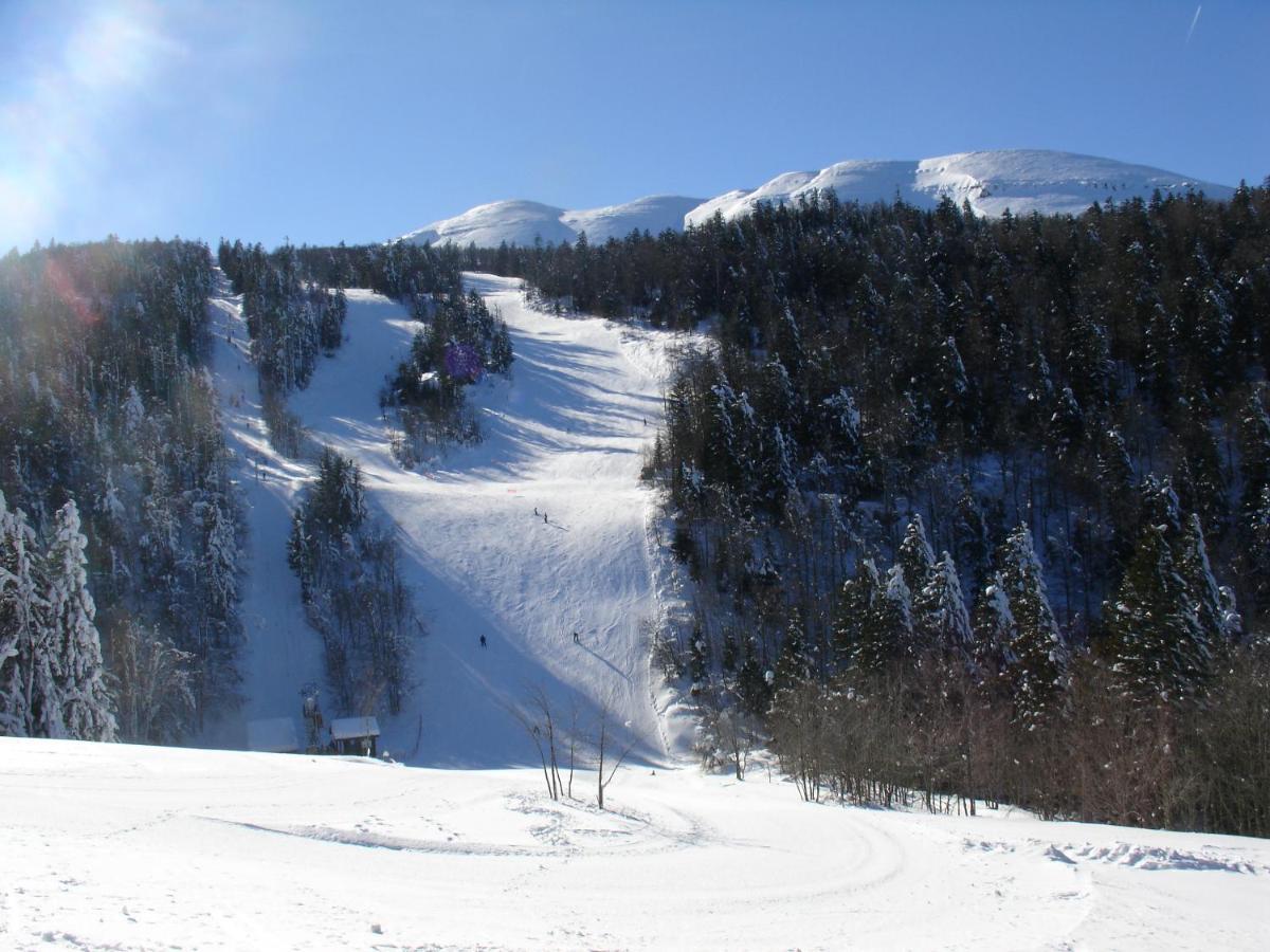 Hotel Du Col De La Machine Saint-Jean-en-Royans Eksteriør bilde